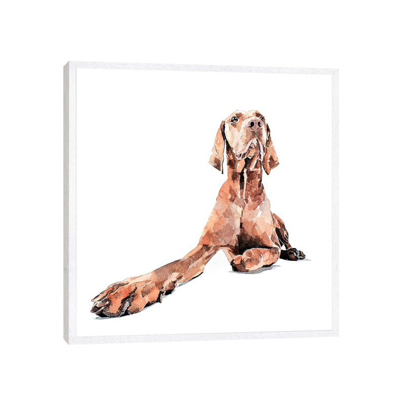 Vizsla Regal - Painting on Canvas, 45.72 cm H x 45.72 cm W, White Framed