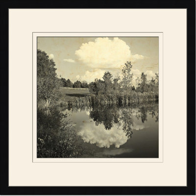 Pond Reflections III Print