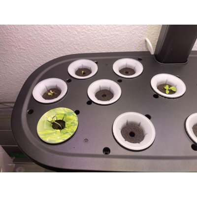 Système de culture hydroponique à 15 compartiments, éclairage DEL à spectre complet de 24 W pour herbes aromatiques d'intérieur, avec deux modes d'éclairage et support réglable.
