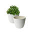 Ensemble de pots à fleurs en tibétain Tahmina-2142814035-2070182449-2070182450