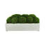 Jardinière Nature's Nostalgia Moss en Fiberstone-94320041-94320043