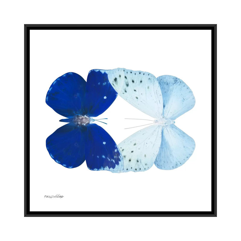 « miss papillon x-ray vii », impression sur toile, H 18 po x l 18 po x P 1,5 po, Toile encadrée noire