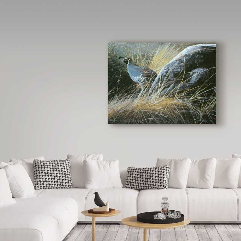 California Quail Landscape Framed Canvas Art 14x19