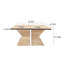 Table basse 2 pièces Shalynn