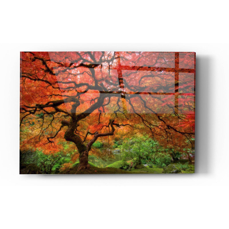 «Japanese Maple» par Jesse Estes, art mural en verre acrylique, H 24 po x l 36 po x P 0,12 po