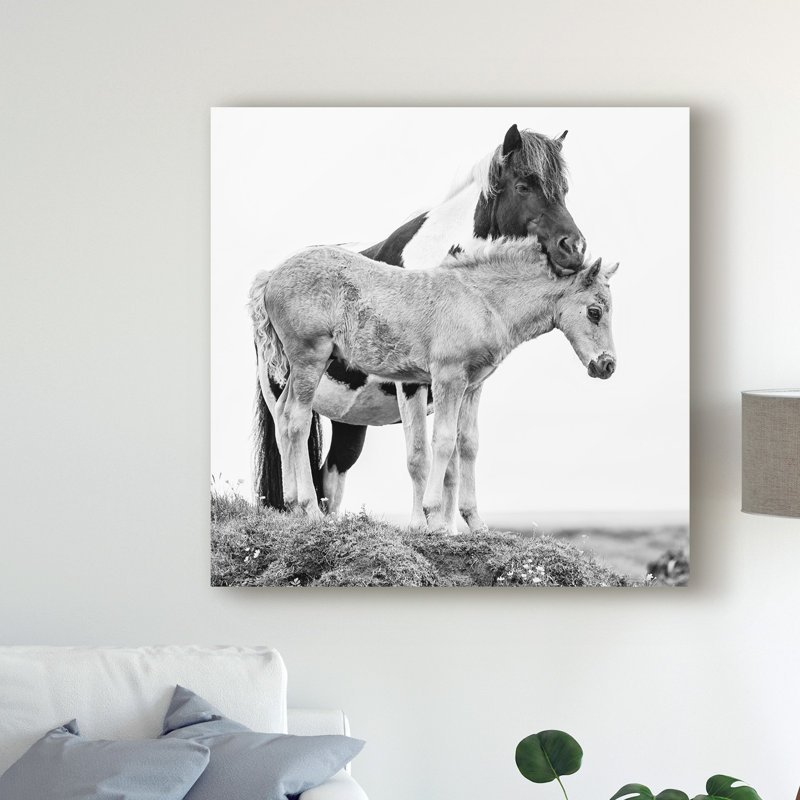«Black and White Horses I» par PHBurchett - reproduction de photo sur toile, H 35 po x l 35 po x P 2 po