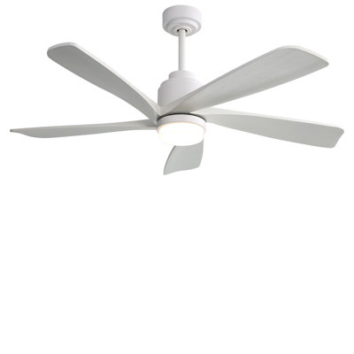 52'' Ceiling Fan with LED Lights
