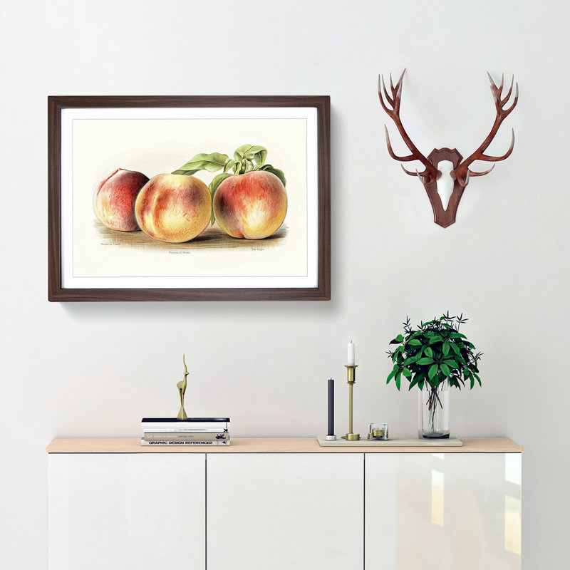 Vintage Illustration of Peaches - Picture Frame Painting Print, 40cm H x 60cm W x 2cm D, Walnut