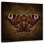 Papillon paon Bramp Steampunk II-109203783
