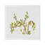 Cherry Blossom Cotton Blend Square Napkins-646383969