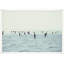 Paddle Board Fleet Print by Nathan Turner