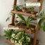 Vitrine Modern