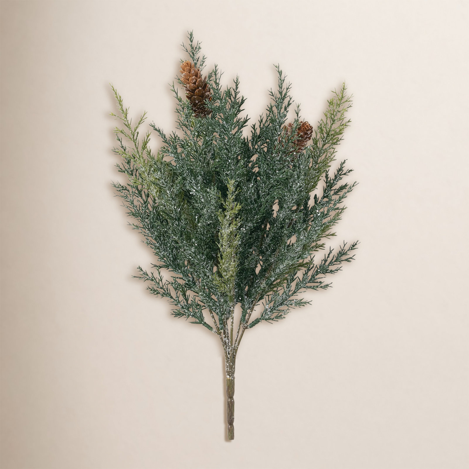 Arborvitae Stems