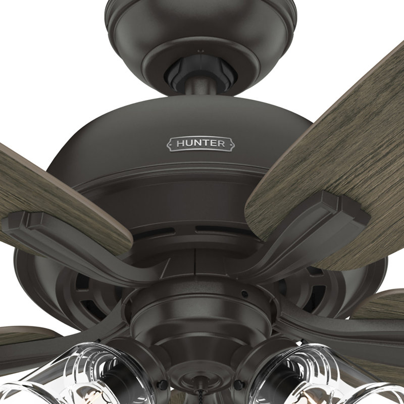 60" Dondra 5 - Blade Fan With Lights and Pull Chains, Noble Bronze