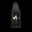 Proctor 3 Light LED Outdoor Wall Light-1667917285