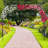 118X98” Garden Arch Trellis For Climbing Plants-114778782