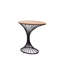 Peacock Solid Wood End Table