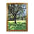 Brown Framed selected