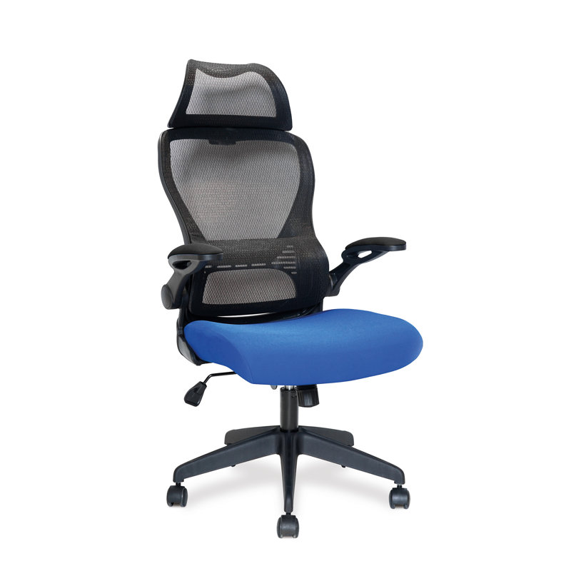 Asturias Mesh Office Chair, Blue