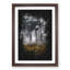 Forest in Russia - Picture Frame Graphic Art Print-56856711-56856715