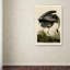 « great blue héron », impression sur toile tendue-31104325
