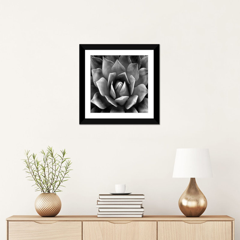 «Succulent II», impression sur toile, H 16 po x l 16 po x P 1 po, Papier d'art encadré noir, Blanc