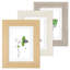 Picture Frame with Mat