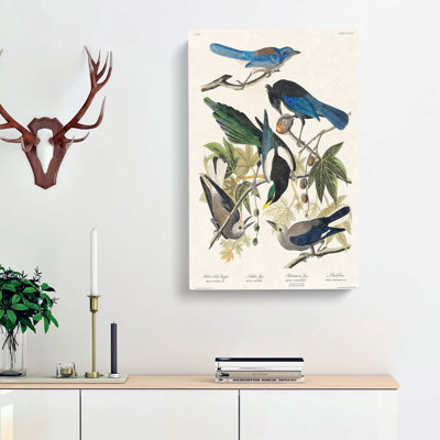 Magpie, Crow & Jay Birds by John James Audubon - Wrapped Canvas