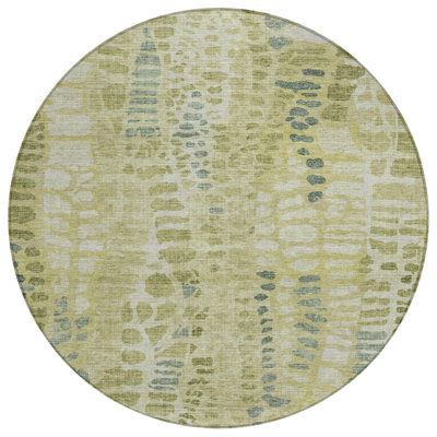 Machine Washable Indoor/Outdoor Chantille ACN2382 Circles Rug