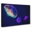 Neon Jellyfish In Abstract - Wrapped Canvas-55308177