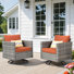 Baili Outdoor Patio Chair with Cushions (Set of 2)