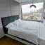 Cyrano Single Light Dimmable Pendant