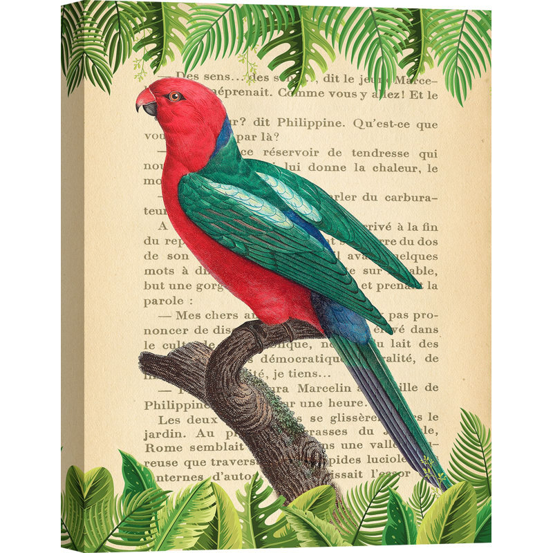 The Australian King Parrot, After Levaillant by Stef Lamanche - Wrapped Canvas Print, 80cm H x 60cm W x 4cm D