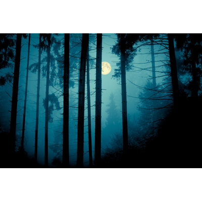 Full Moon by Stsmhn - Wrapped Canvas Print