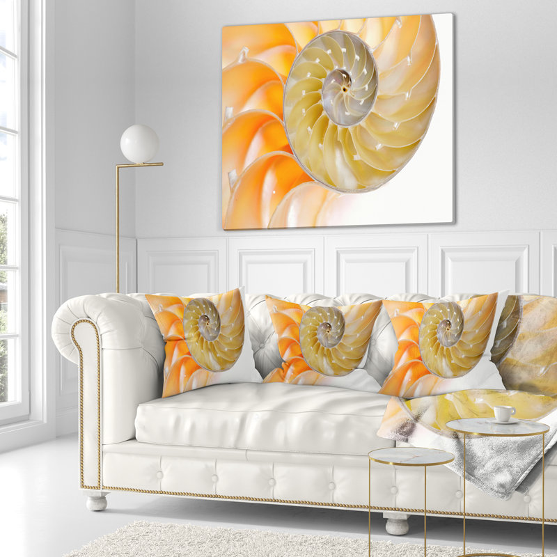 Coussin de coquillage isolé nautilus, H 16 po x l 16 po