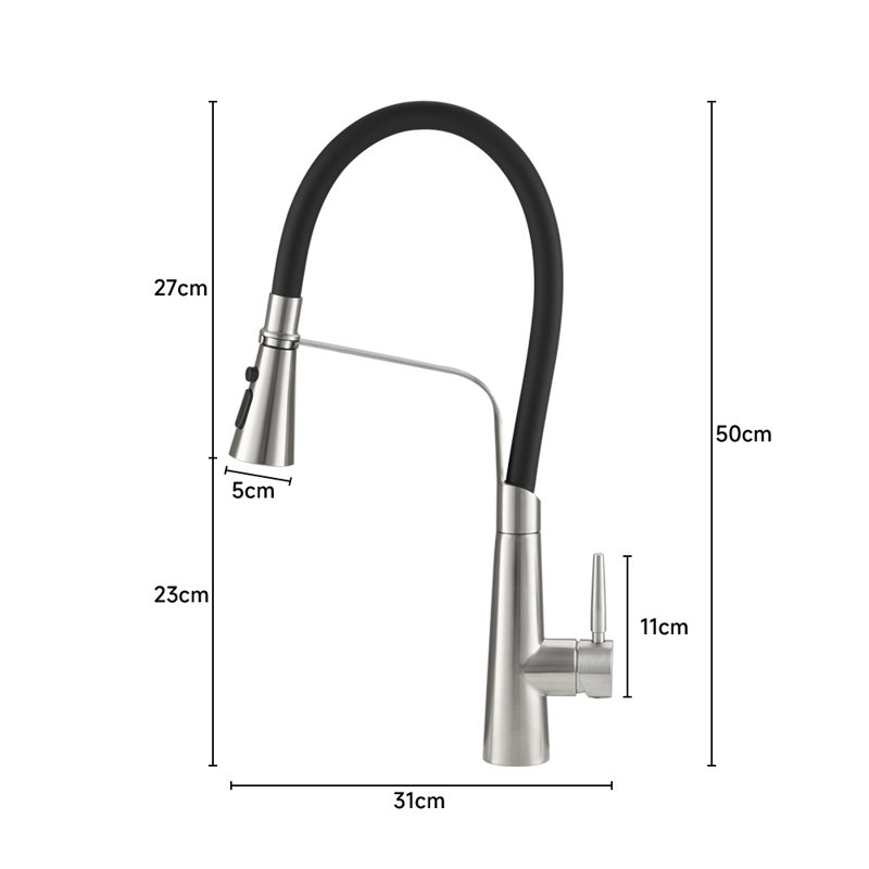 Belfry Kitchen Hyuk Kitchen Faucet, Chrome