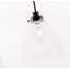 Chiles 1 - Light Black Pendant