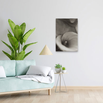 Florison # 19 - Art floral et nature morte, fleurs de lys Calla