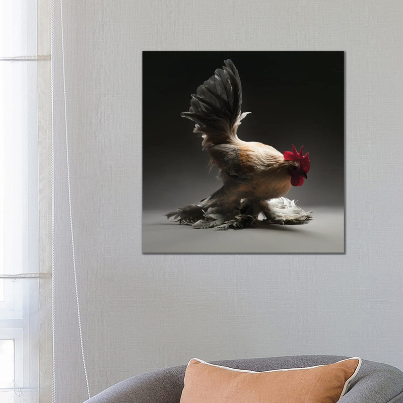 Booted Bantam - Wrapped Canvas Print, 66.04 cm H x 66.04 cm W x 1.91 cm D