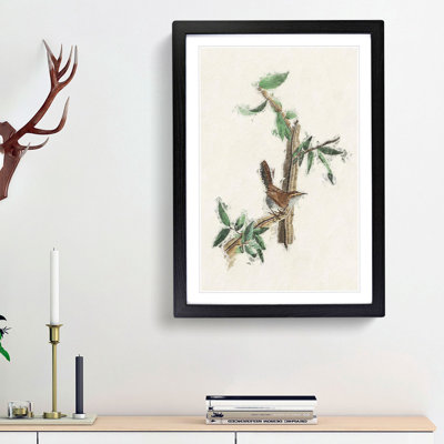 Bewicks Wren by John Audubon - Single Picture Frame Painting
