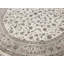 Oriental Area Rug