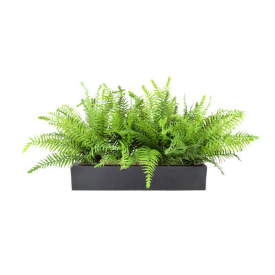 Kenley Outdoor UV Rated Fern in Rectangular Planter