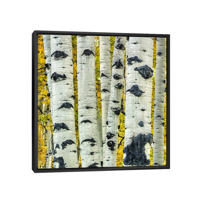 «Force en chiffres» par Bill Sherrell, impression sur toile tendue, H 26 po x l 26 po x P 1,5 po, Toile avec cadre noir
