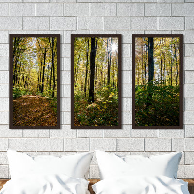 Forêt, arbres, ensemble de 3 reproductions de photos sur acrylique