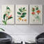 " Turpin Tropical Botanicals IV " 3 - Pieces-91891660-91891663