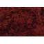 European One-of-a-Kind 3'9X16'5 Hand Knotted Area Rug
