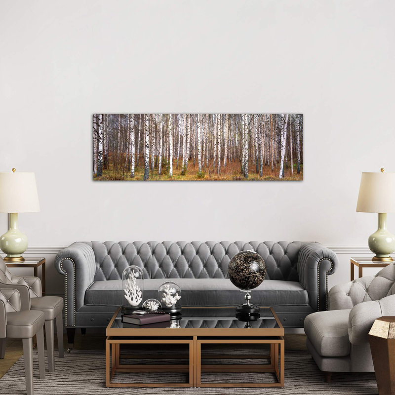 Silver Birch Trees In A Forestnarke, Sweden - Wrapped Canvas Panoramic Print, Wrapped Canvas, 182.88 cm H x 60.96 cm W