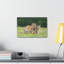 No Frame Print on Canvas