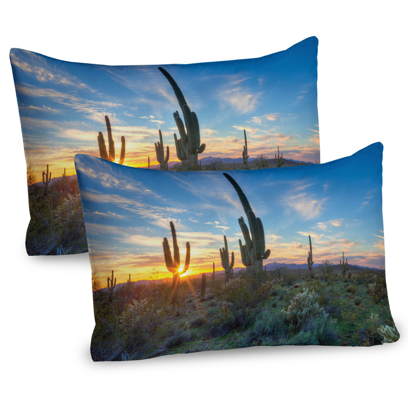 Ensemble de 2 taies décoratives Ambesonne Saguaro Cactus Noon - vert / bleu, L 30 po x H 20 po