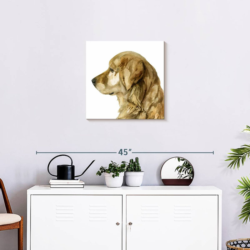 Brampt Pet Profile I, H 20 po x l 20 po